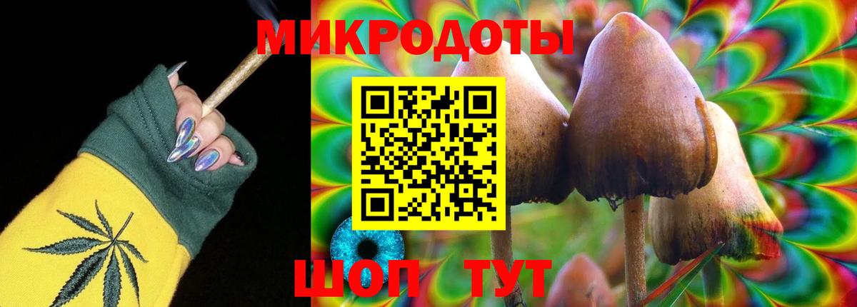 Рославль  Псилоцибиновые грибы Psilocybine cubensis  Вход с VPN 
